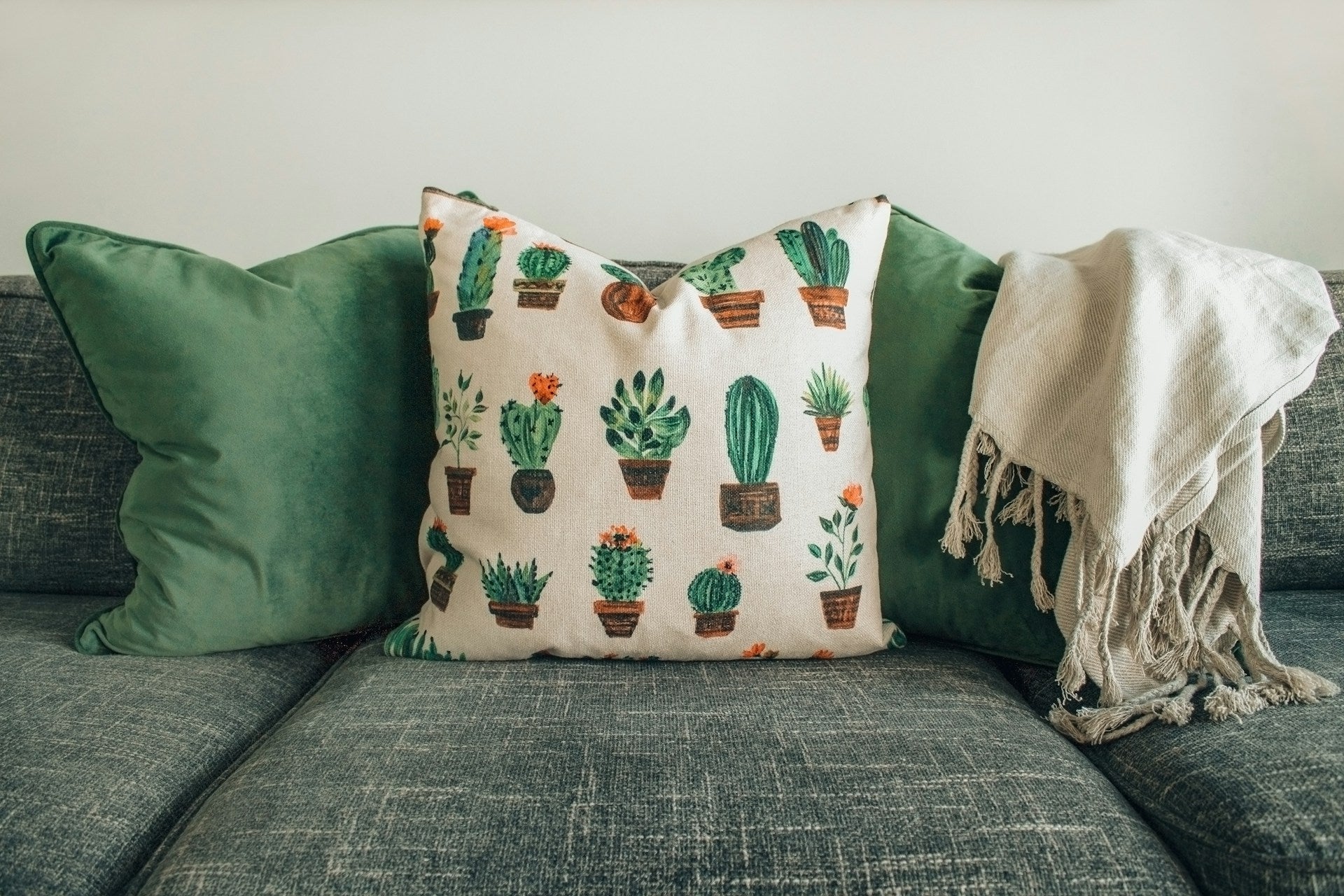 Cushions, Throws & Rugs