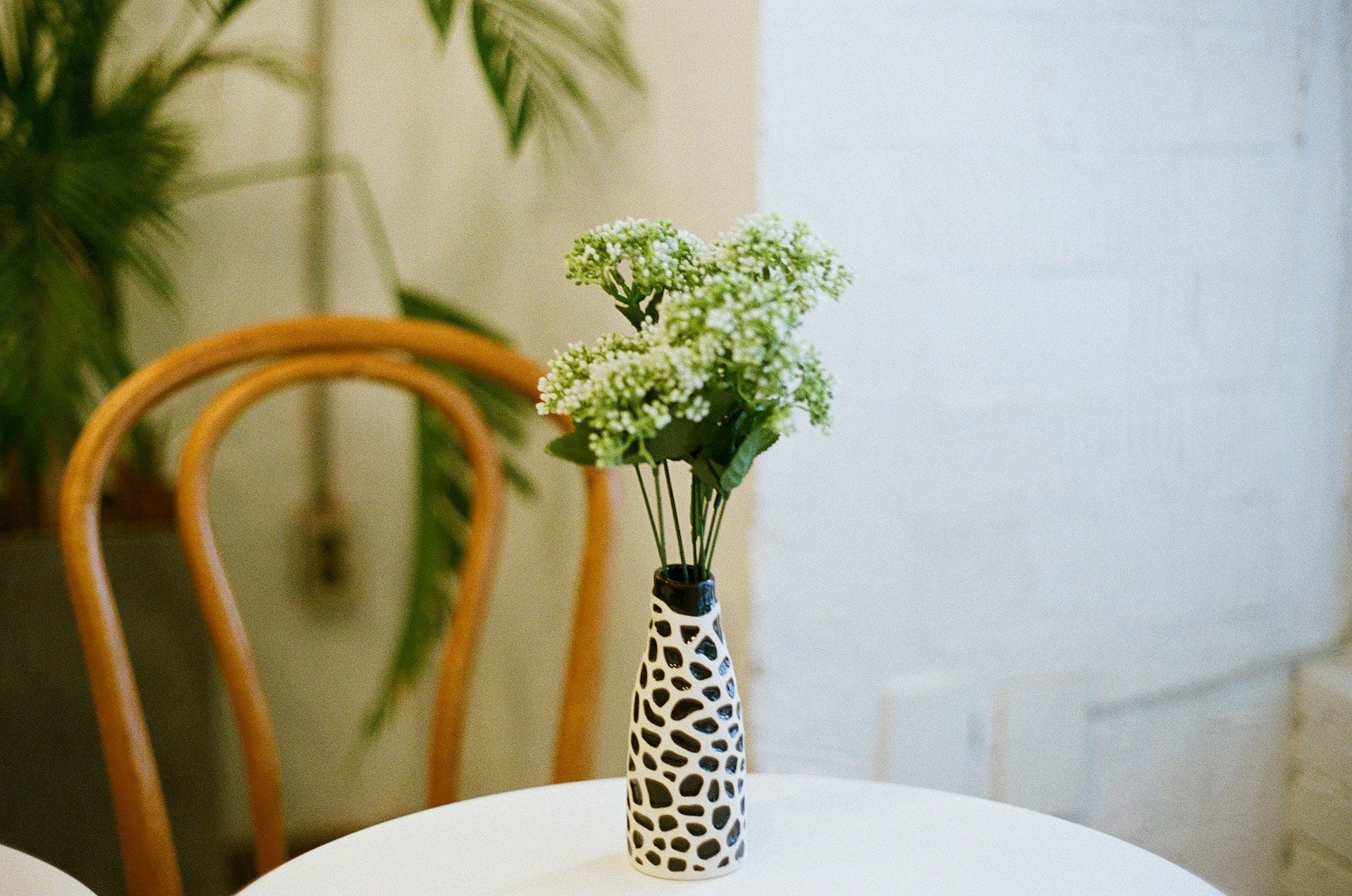 Vases, Planters & Table Accents